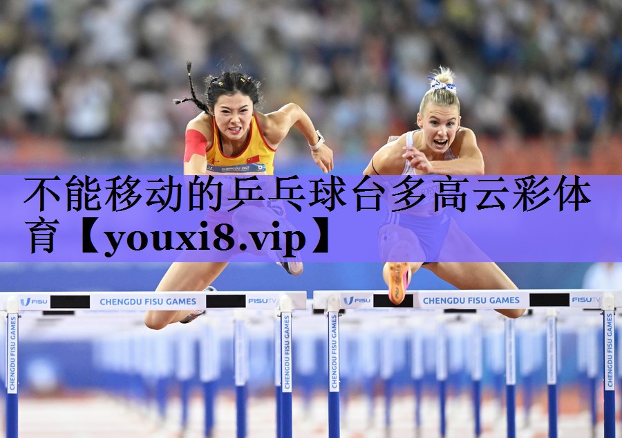不能移动的乒乓球台多高云彩体育