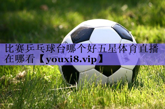 比赛乒乓球台哪个好五星体育直播在哪看